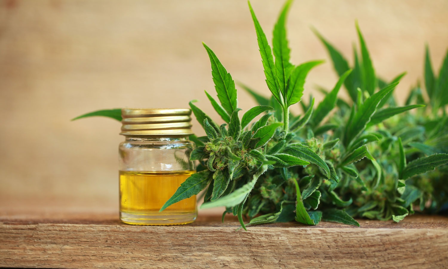 When should you take CBD? ( The best time to take CBD throughout the day) MY Healthy Life Vision